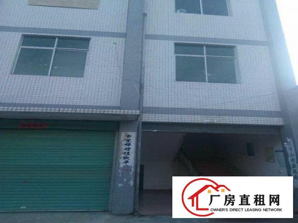 
		碧岭独院标准厂房三层带电梯3000平招商（可分租）
	