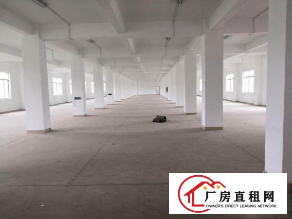 
		坪山沈海高速路口8300平独院厂房出租，空地4000平
	