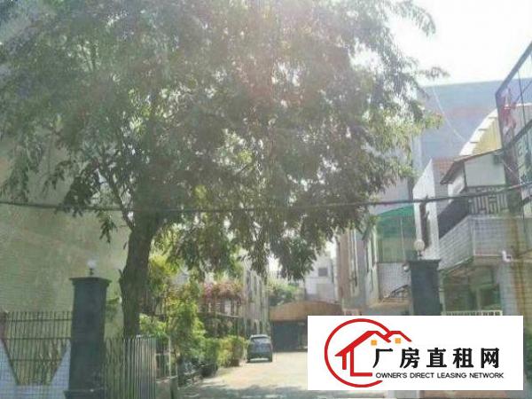 
		出租坪山飞东新出7米高独院厂房1800㎡
	