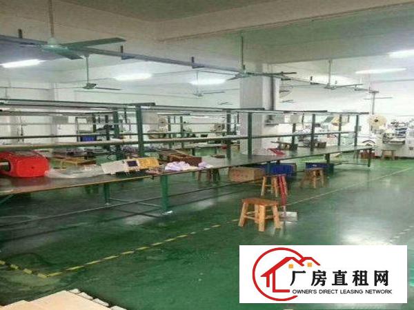 
		坪山工业园一楼800（7米高）平重工业厂房招租可分可整
	