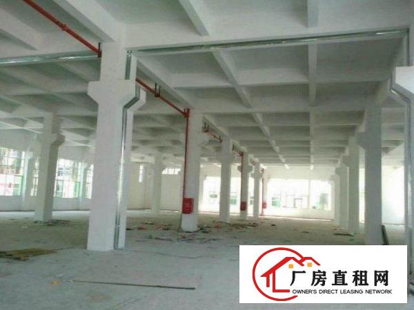
		坪山工业园一楼800（7米高）平重工业厂房招租可分可整
	