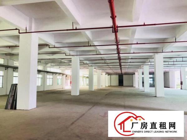 
		坪山同乐独栋厂房空地大
	