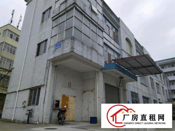 
		坪山坪山碧岭新出原房东无尘车间500平米
	