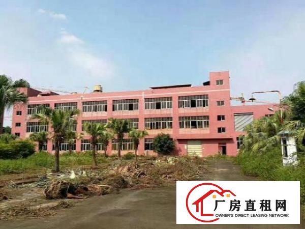 
		坪山横坪路旁标准独院厂房整层层3900平米招租（可分）
	