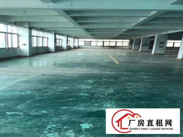 
		房东招租，坪山区碧岭红本标准厂房，欢迎高新科技企业
	