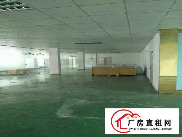 
		西乡勒竹角工业区红本厂房出租200平到1800平方
	