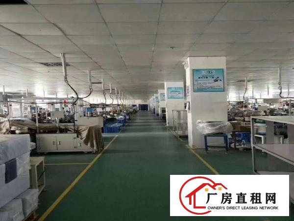 
		坪山碧岭一楼厂房2000平米出租可分
	