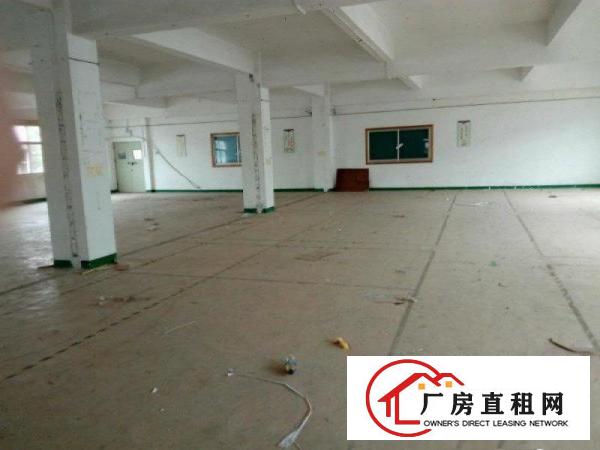
		坪山宝龙路口工业区里分租一楼800二楼800平米
	