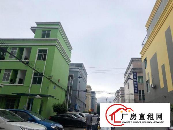 
		坪山中心新出1000平一楼平价出租，150平起分租
	