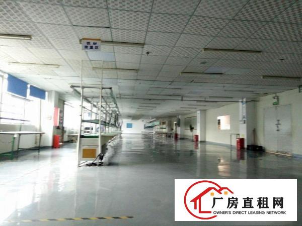 
		坪山竹坑大工业区原房东厂房三楼2400平米有红本
	