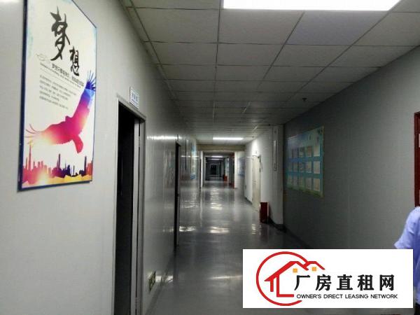 
		坪山竹坑大工业区原房东厂房三楼2400平米有红本
	