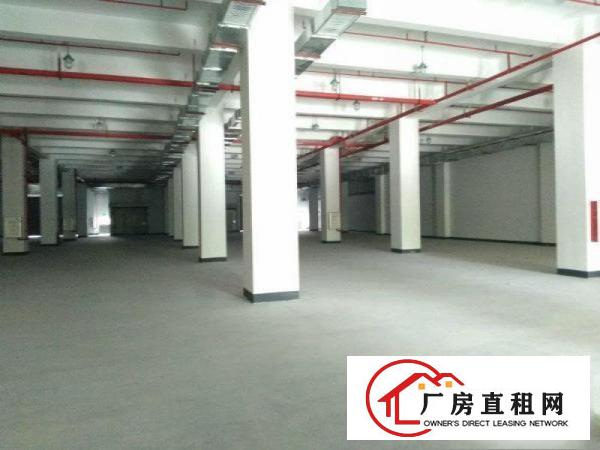 
		坪山大工业区红本厂房新出楼上530平起送办公装修招商
	