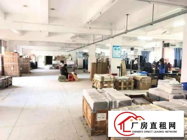 
		坪山碧岭金碧路边一楼600平厂房招租，带装修办公室
	