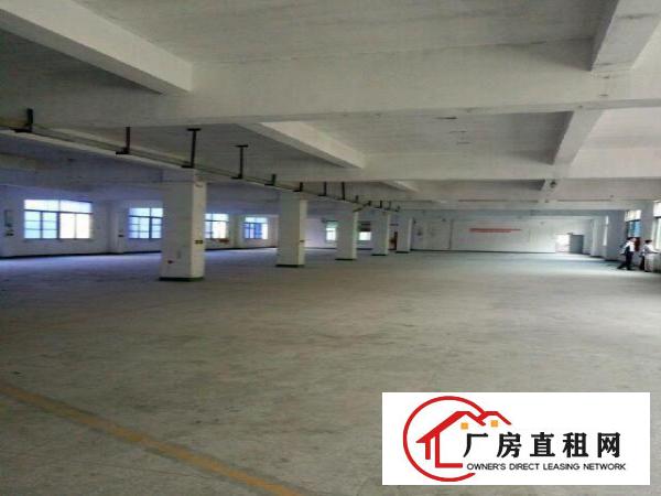 
		坪山新区碧岭社区独院厂房4680平米
	