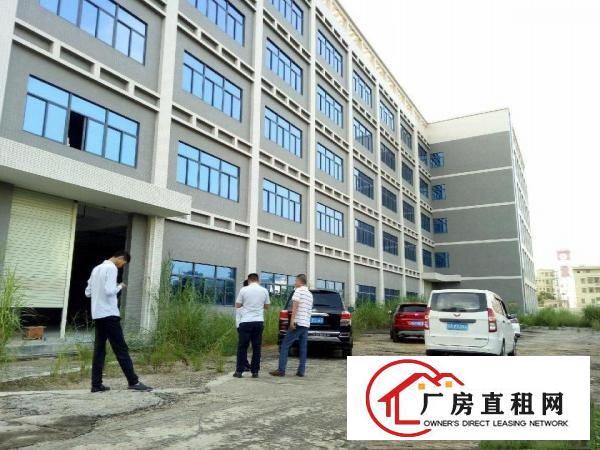 
		坪山田头市场厂房旁三楼厂房1300平米招租
	