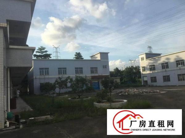 
		坪山大工业区独院厂房一层4000平方，主干道边，空
	