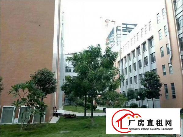 
		坪山三洋湖新出楼上400平方厂房有简单装修出租，带地坪漆
	