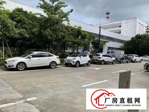 
		坪山大工业区厂房1350平米/
	
