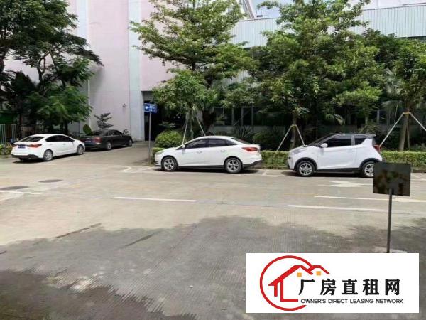 
		坪山大工业区厂房1350平米/
	