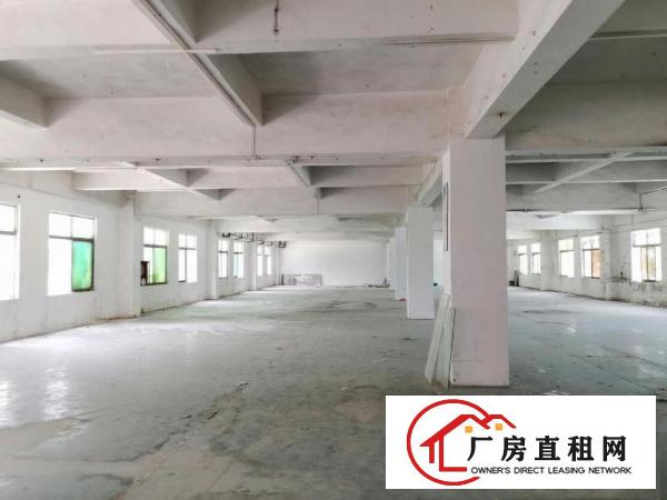 
		坪山碧岭工业区楼上厂房出租1800平现成装修交通便利可办环评
	