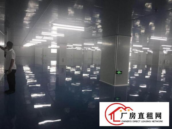 
		坪山大工业区独栋12592平带无尘车间业主厂房出租
	