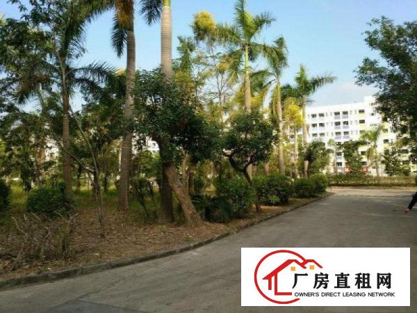 
		大工业区新出原房东楼上厂房分租500平方，带精装修办公室前台
	