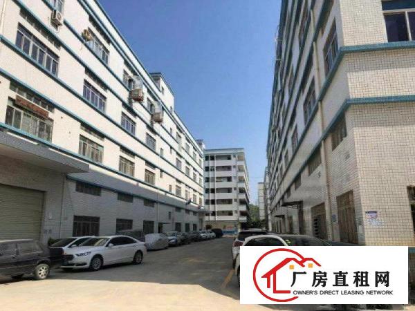 
		石井万里红超市旁边原房东一楼红本厂房450平招租，价格22元
	