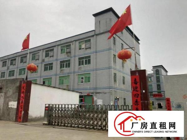 
		碧岭横坪公路边新出原楼上整层1100平方带豪华装修办公室出租
	