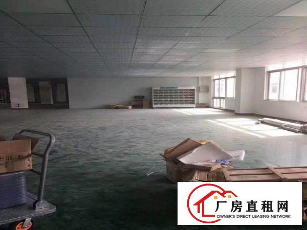 
		坪山碧岭楼上精装修厂房980平出租，价格好谈
	
