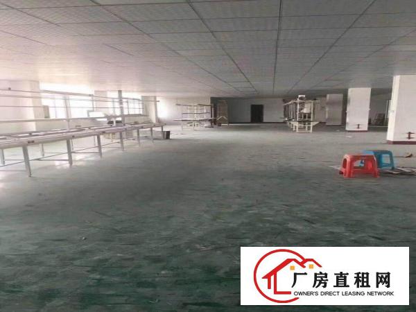 
		坪山碧岭楼上精装修厂房980平出租，价格好谈
	