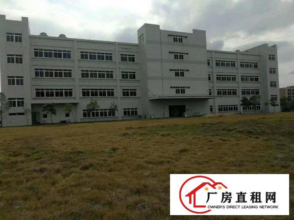 
		坪山原房东无公摊独院厂房招租
	