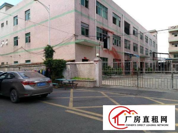 
		坪山原房东无公摊独院厂房招租
	