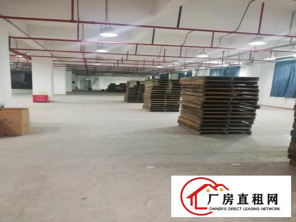 
		大工业区二楼1100平米厂房出租，有红本，空地大
	