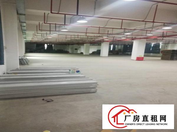 
		大工业区二楼1100平米厂房出租，有红本，空地大
	