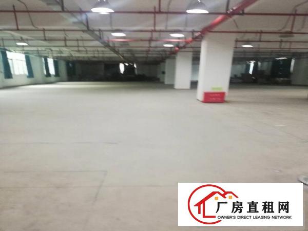 
		大工业区二楼1100平米厂房出租，有红本，空地大
	