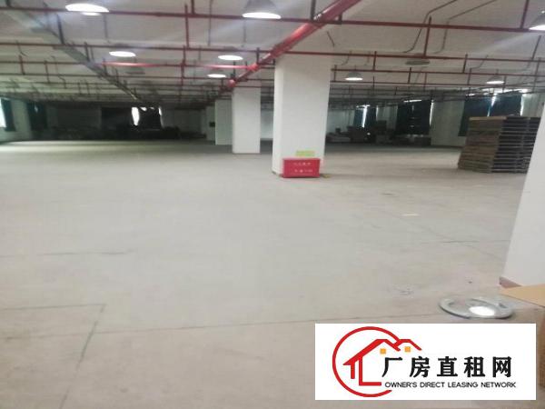 
		大工业区二楼1100平米厂房出租，有红本，空地大
	