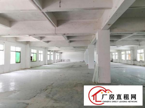 
		坪山碧岭工业区楼上厂房出租1800平现成装修交通便利可办环评
	