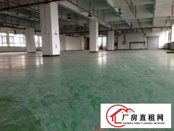 
		坪山大工业区3楼1750平红本厂房出租可分租
	