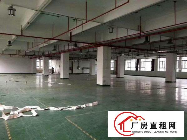 
		坪山大工业区3楼1750平红本厂房出租可分租
	