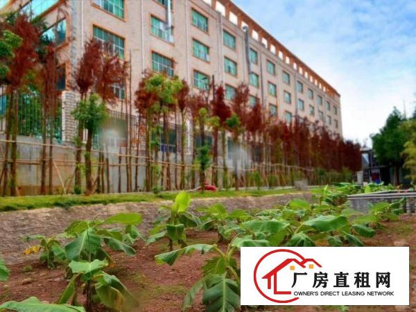 
		坑梓新出2750平米一二楼有红本厂房出租
	