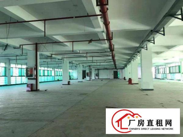 
		坪山深汕路口新出一楼500平米适合，加.工设备
	