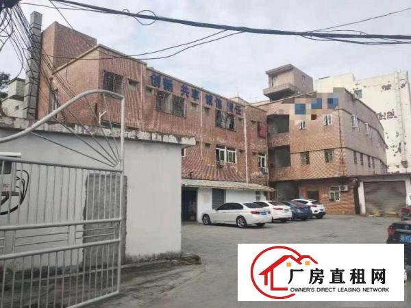 
		坪山碧岭新出原房东2楼1000平厂房出租12元
	
