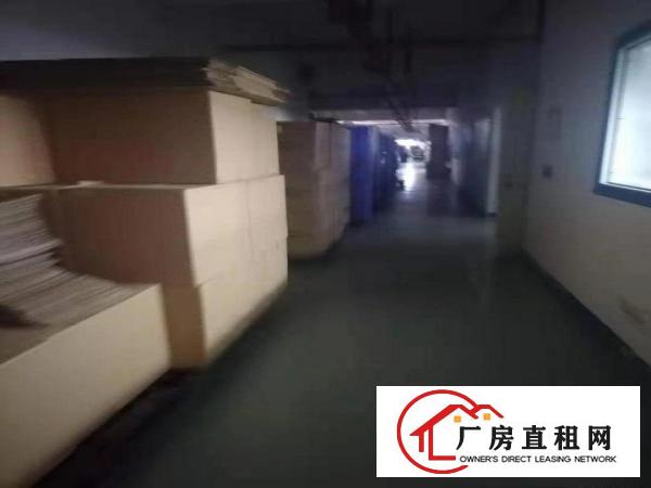 
		坪山大工业区科技园新出带装修厂房3000平方出租，可分租
	
