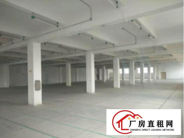 
		坪山原房东红本独院4800平可办环评500平可分组
	