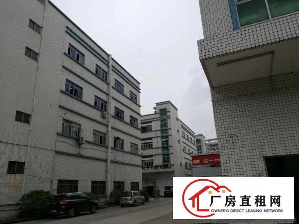 
		坪山石井工业园2楼1100平精装修厂房出租无转让费
	