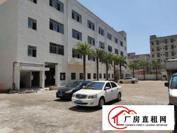 
		坪山中心主干道排独栋可做酒店厂房出租4层
	