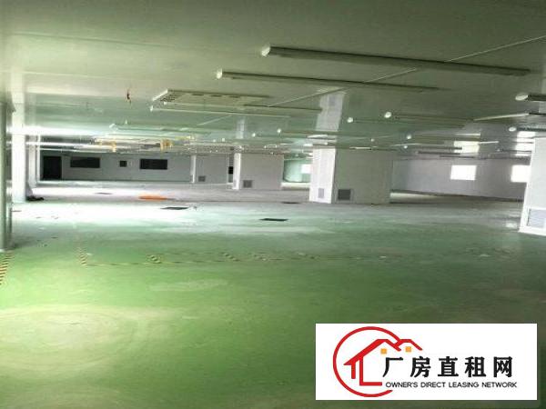 
		坪山碧岭工业区540平米2楼厂房出租，有红本有电梯
	