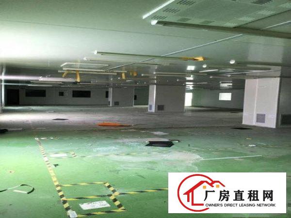 
		坪山碧岭工业区540平米2楼厂房出租，有红本有电梯
	