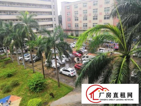 
		坪山碧岭原房东红本厂房出租一楼2200平二楼2400平
	