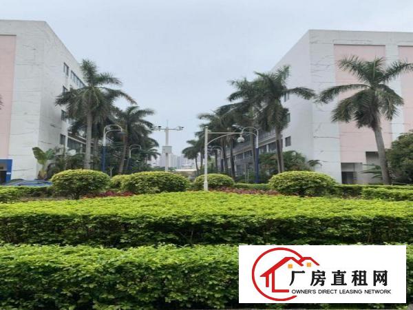
		坪山楼上厂房出租4000平3吨电梯有喷淋有卸货平台0交通便利
	